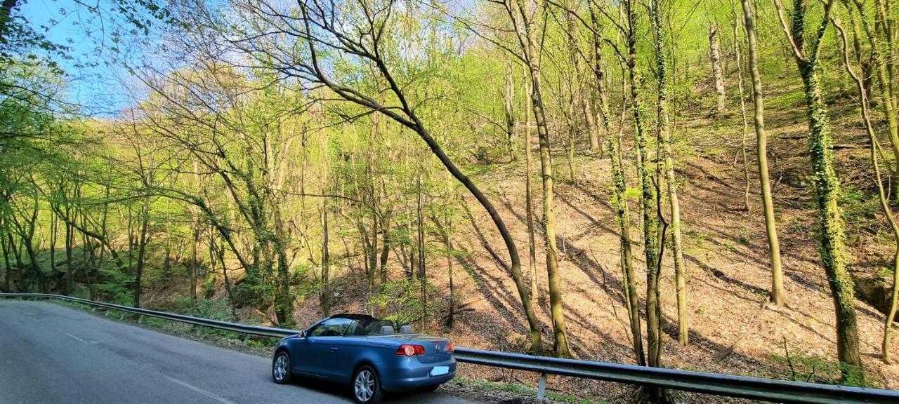 Hos-Cegledi Vendeghaz Miskolc -Oenallo Otthon, Mely Csak Az Oenoeke المظهر الخارجي الصورة