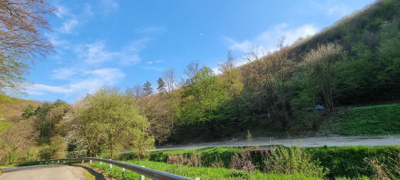 Hos-Cegledi Vendeghaz Miskolc -Oenallo Otthon, Mely Csak Az Oenoeke المظهر الخارجي الصورة