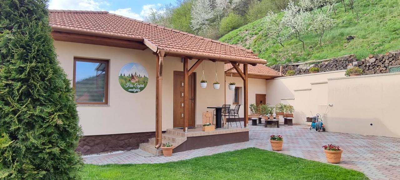 Hos-Cegledi Vendeghaz Miskolc -Oenallo Otthon, Mely Csak Az Oenoeke المظهر الخارجي الصورة