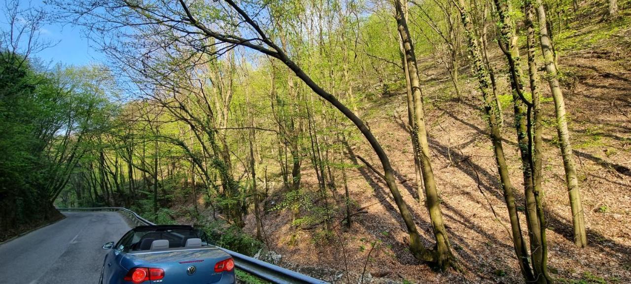 Hos-Cegledi Vendeghaz Miskolc -Oenallo Otthon, Mely Csak Az Oenoeke المظهر الخارجي الصورة