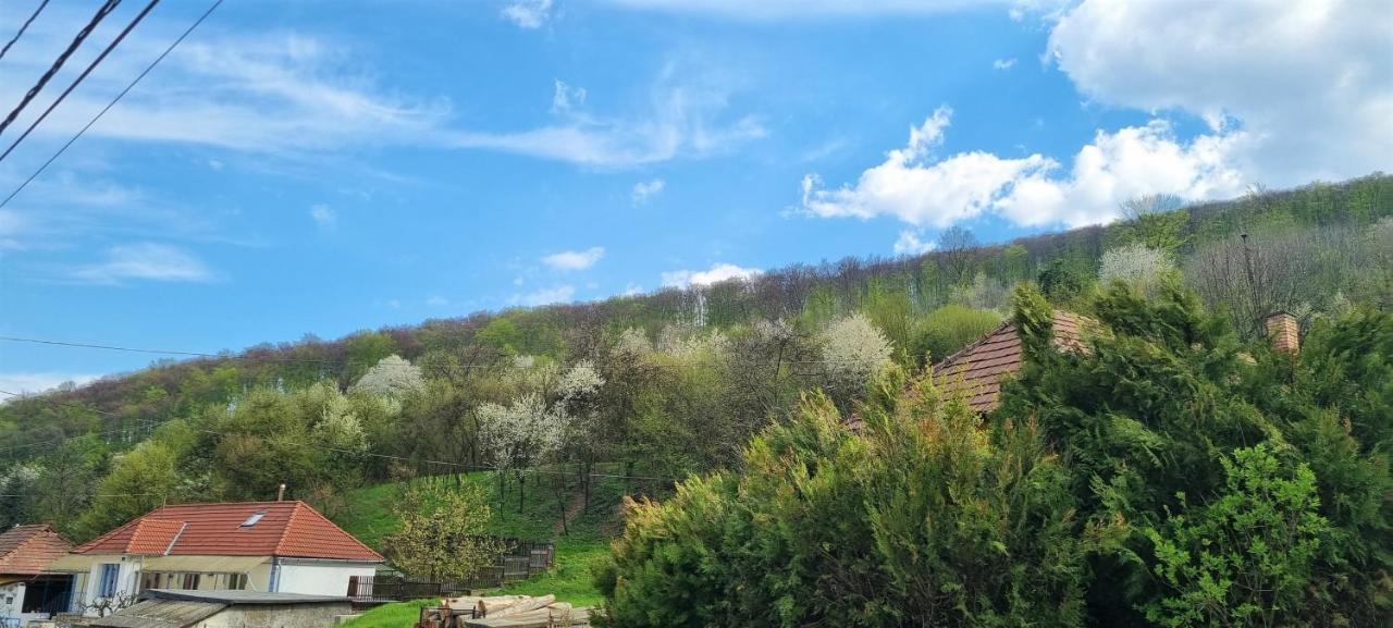 Hos-Cegledi Vendeghaz Miskolc -Oenallo Otthon, Mely Csak Az Oenoeke المظهر الخارجي الصورة